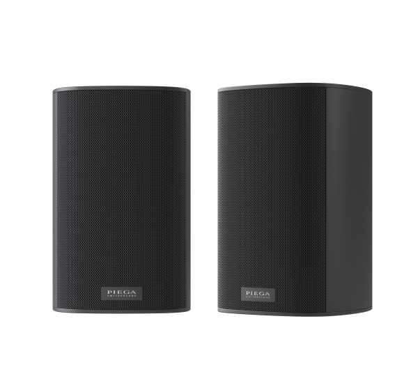 Ace 30 Rx - 2 voies, 100 Watts 